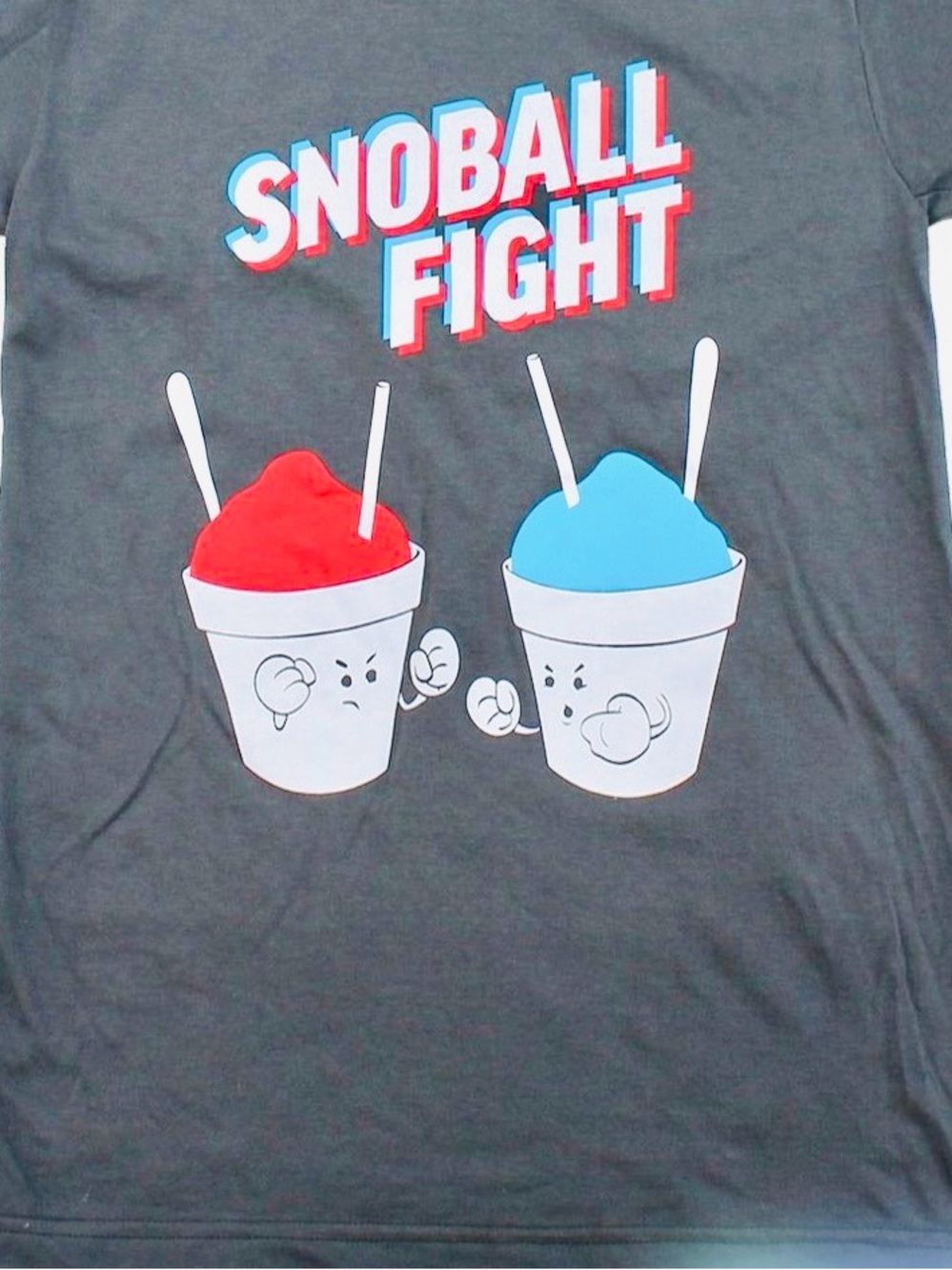 Next Level 🗺️ Apparel “Snoball Fight” Graphic T-Shirt Women’s XL Gray V-Neck GUC